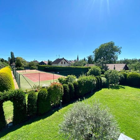 Bed and Breakfast "Ma Vie La" Alsace Kingersheim Екстер'єр фото